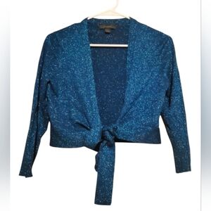 Express Crop Top Front Tie Long Sleeve Blue With Sparkles For Women Size L